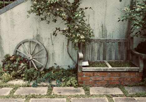 緑に囲まれた庭にあるベンチと車輪